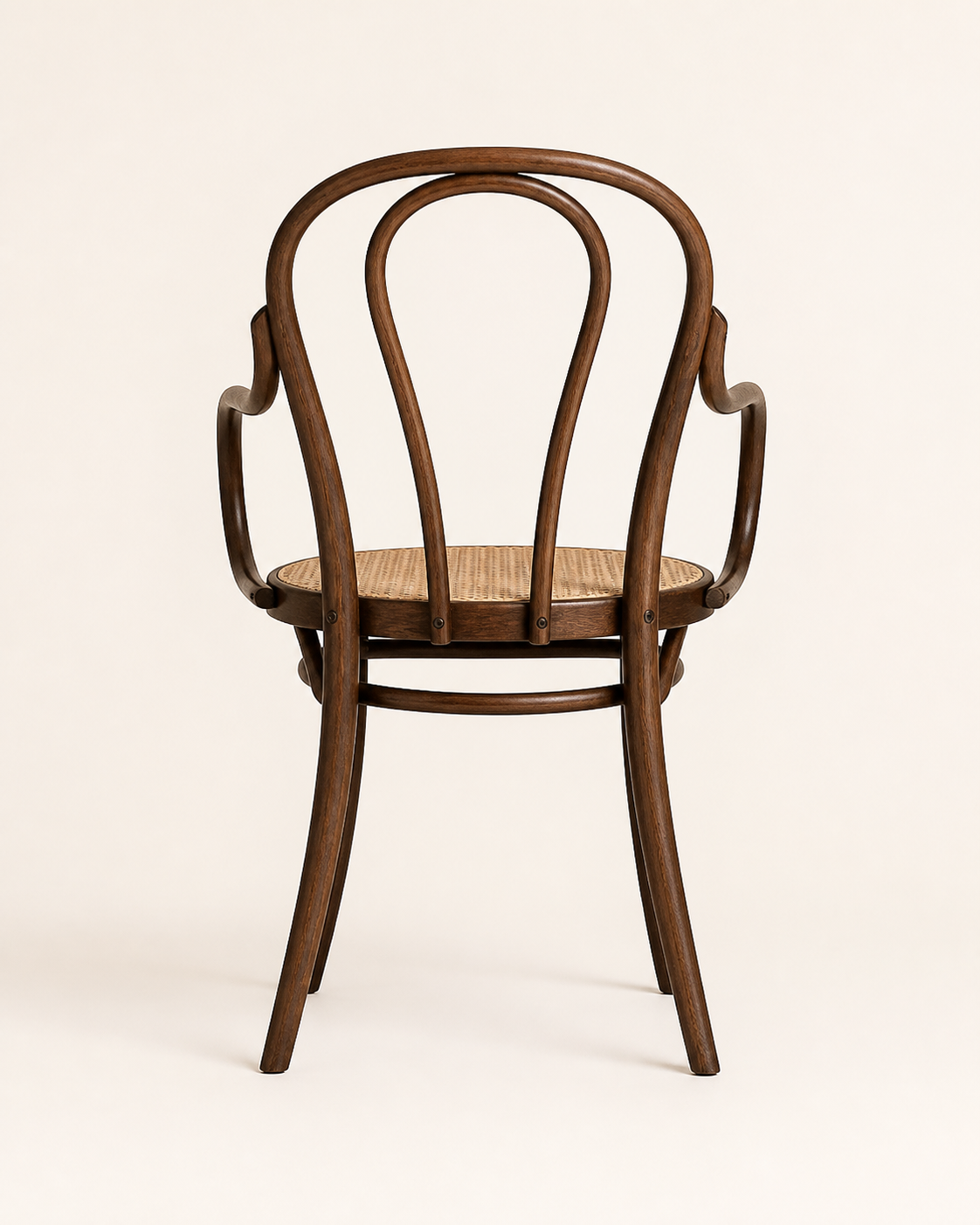 Moss Cane Chair — back view